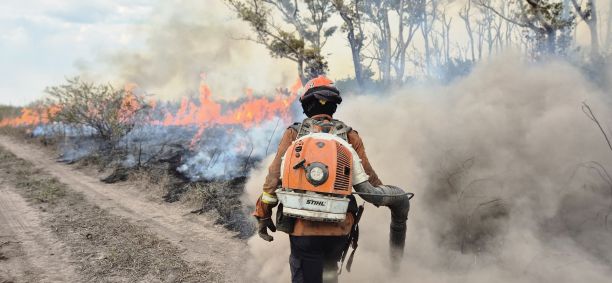 Bombeiros tentam combater incêndios no Pantanal em junho de 2024
