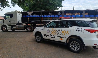 Polícia apreende 1,5 mil celulares escondidos em carga de azeitonas em SP