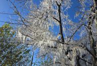 Urupema (SC) registra menor temperatura do ano no Brasil com -7,2°C