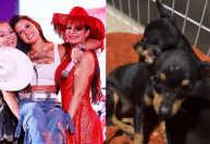 Ana Castela coloca nomes Maiara e Maraisa em cachorras