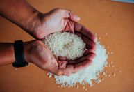 Não haverá importação de outros produtos além do arroz, diz presidente da Conab