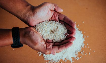 arroz