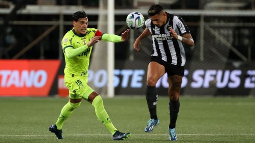O jogador Gustavo Gómez, da SE Palmeiras, disputa bola com o jogador do Botafogo FR, durante partida válida pela trigésima primeira rodada, do Campeonato Brasileiro, Série A, no Estádio Nilton Santos. (Foto: Cesar Greco/Palmeiras/by Canon)