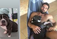 Justiça de São Paulo condena Latam a pagar R$ 30 mil por morte de cachorro em voo