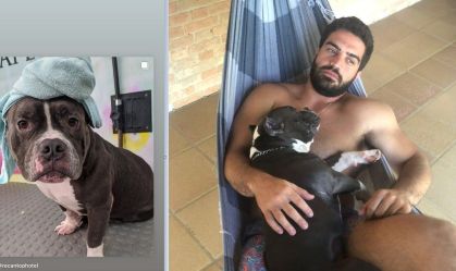 cachorrolatam