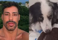 Cauã Reymond mostra cão brincando após ser envenenado: 