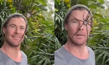 Chris Hemsworth publica vídeo com aranha e brinca: "Nem me assustou"
