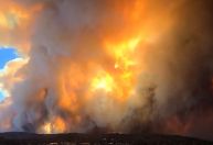 Estado dos EUA declara situação de emergência por incêndios florestais