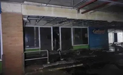 Câmara debate morte de animais em petshop inundado em Porto Alegre