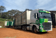 Entidades do setor de transportes organizam envio de alimento a rebanhos do RS