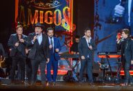 Festival Salve o Sul: Luísa Sonza se emociona no 1º dia com show do Amigos