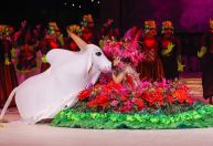 Festival de Parintins deve movimentar cerca de R$ 184 milhões neste ano