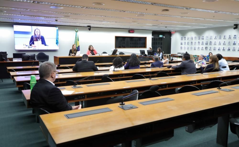 Comissão de Defesa dos Direitos da Mulher