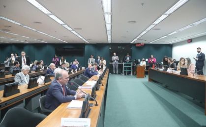 Sessão da Comissão de Constituição e Justiça (CCJ) da Câmara