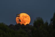 Lua cheia de morango deste mês será a mais alta do ano; entenda