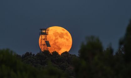 Lua cheia de morango deste mês será a mais alta do ano; entenda