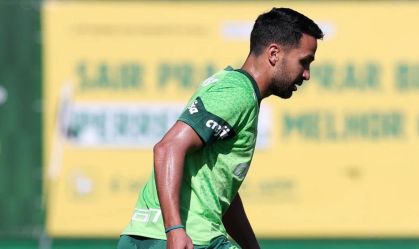 luan-palmeiras