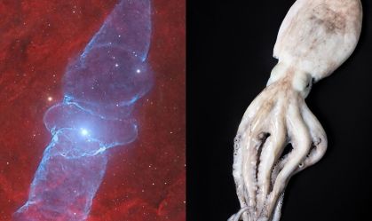 Nasa flagra "lula gigante" no céu; veja foto da nebulosa