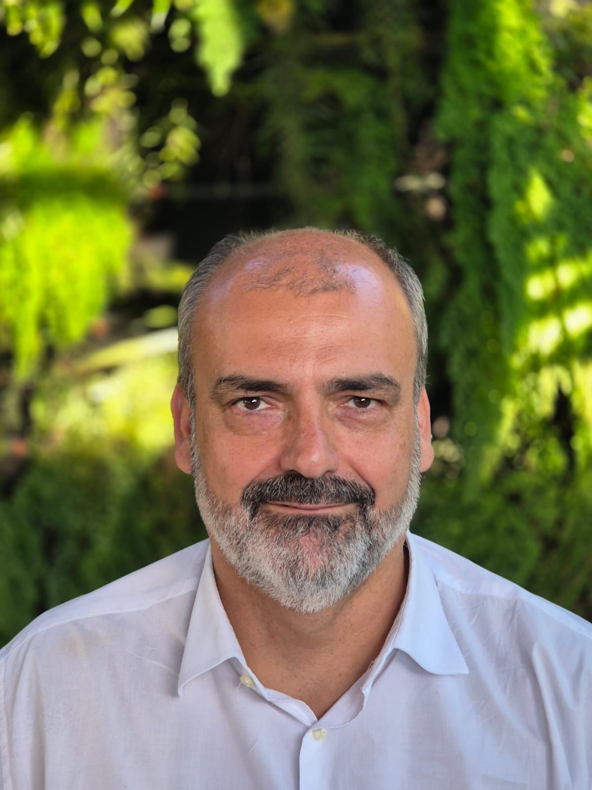 Percy Soares Neto