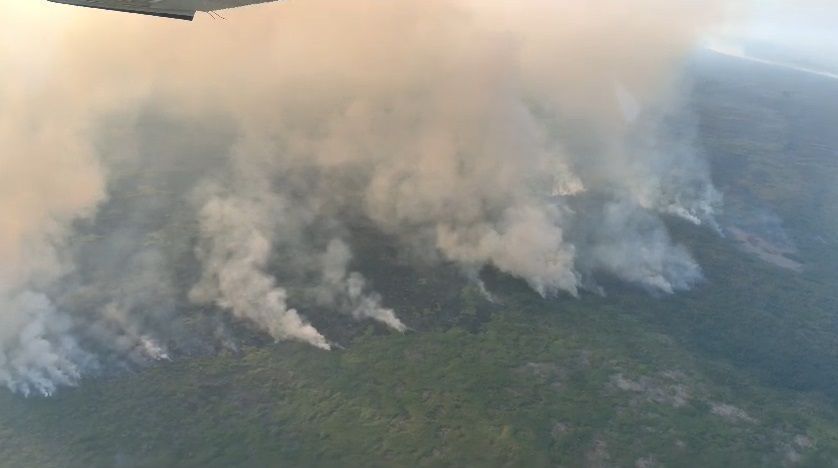 Pantanal: Município sul-matogrossense lidera focos de incêndio em junho / Gustavo Figueirôa/SOS Pantanal