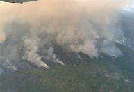 Pantanal: município sul-matogrossense lidera focos de incêndio em junho