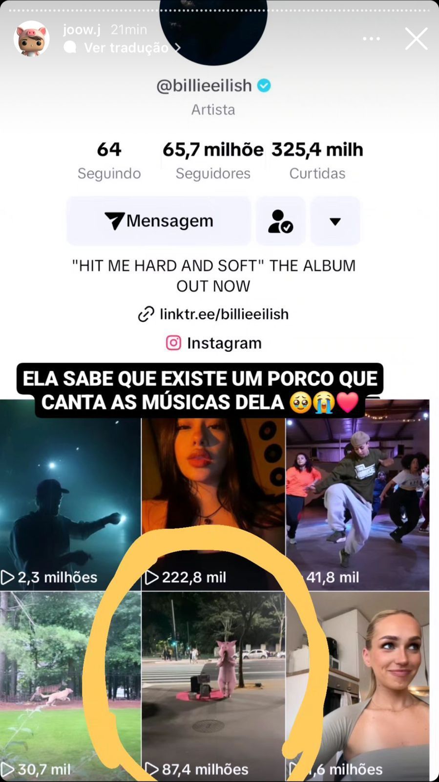Porquinho da Paulista foi notado por Billie Eilish e compartilhou nas redes / Reprodução/Instagram