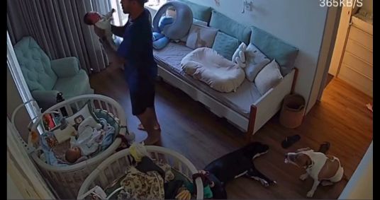Marido da influenciadora estava com o bebê no colo quando percebe que algo estava errado
