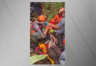 Jovem autista é resgatado dentro de poço após quatro dias desaparecido em parque de São Paulo