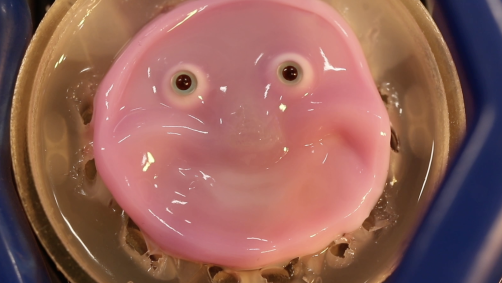 Robô desenvolvido pela Universidade de Tóquio tem pele flexível que parece "viva" e usa colágeno e fibroblastos para