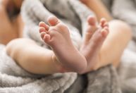 Febre oropouche: quais os riscos da transmissão vertical para o bebê?