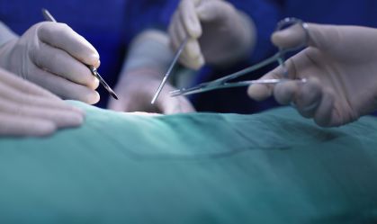 Primeiro transplante de fígado de porco em humano é realizado na China