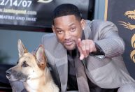 Will Smith revela ter tentado adotar cadela de 