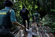 Ibama faz operação para combater desmatamento na Amazônia