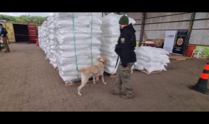 Paraguai apreende quatro toneladas de cocaína a caminho da Europa
