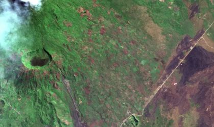 Conflito no Congo causa desmatamento “sem precedentes”, alerta ONU