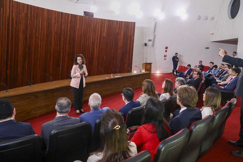 Ministra Edilêne Lobo, do TSE