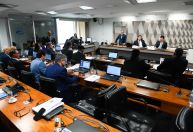 Comissões lideradas por bolsonaristas analisam ampliação de acesso a armas