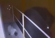 Vídeo mostra momento em que o ator Thommy Schiavo cai de sacada e morre em MT; veja