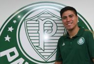Campeão brasileiro com o Palmeiras é anunciado por time da Série C