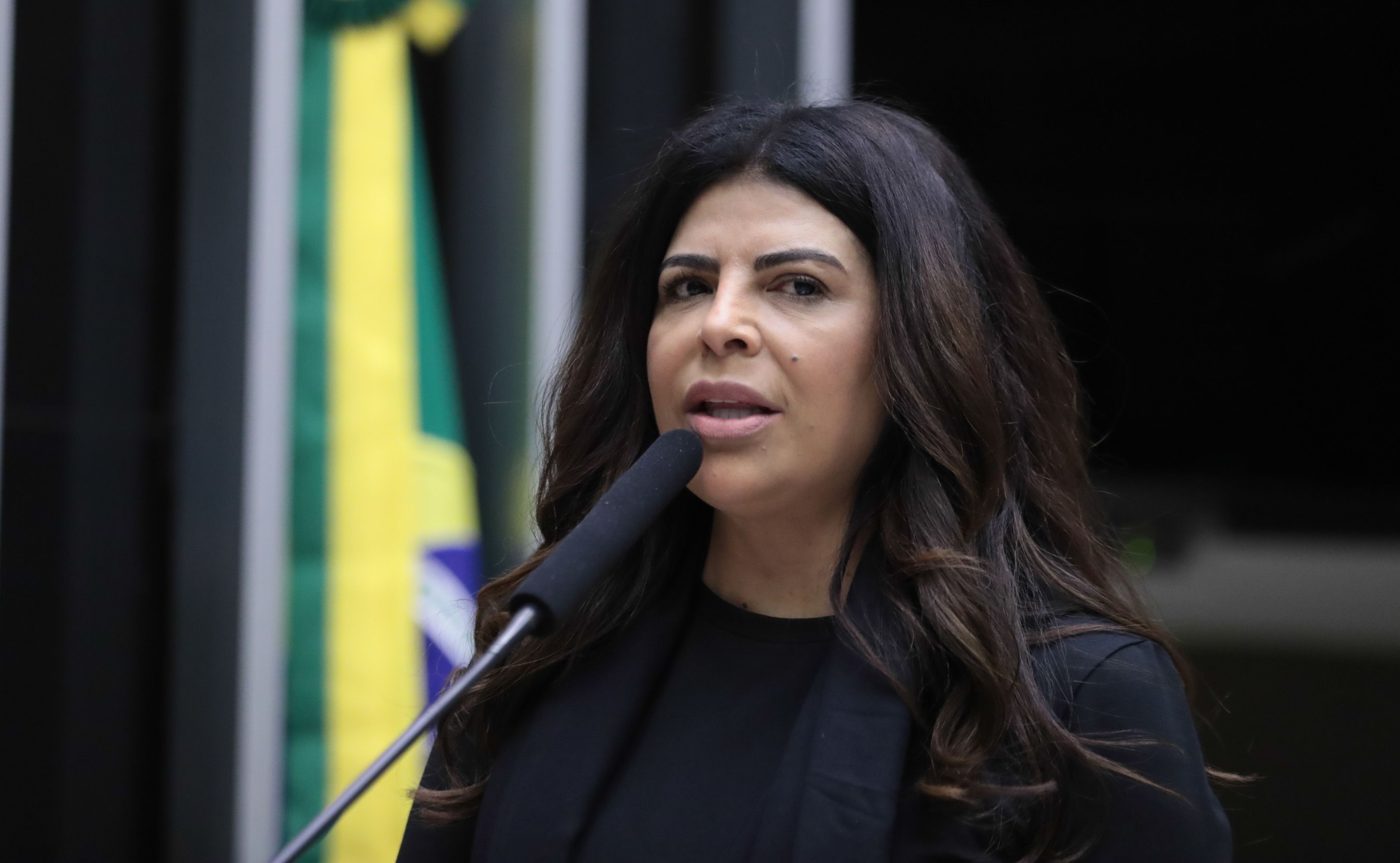 Deputada federal Antônia Lúcia