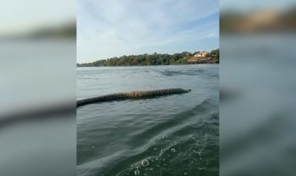 Comerciante encontra cobra gigante ao navegar em lago em Tocantins; veja vídeo