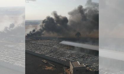 Design sem nome (29)