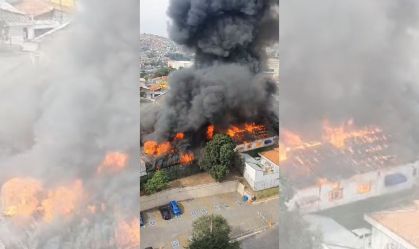 Design sem nome (42)