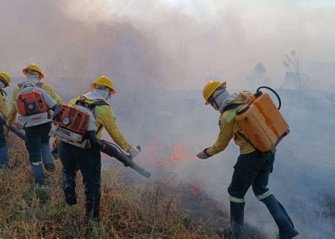 Incêndio Amazonas