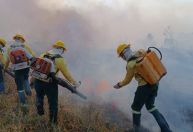 Julho de 2024 bate recorde histórico de focos de incêndio no Amazonas, aponta Inpe