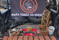 Pistolas e grande quantidade de munições são encontrados pela polícia no RJ