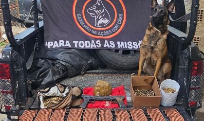 cães operação ordo
