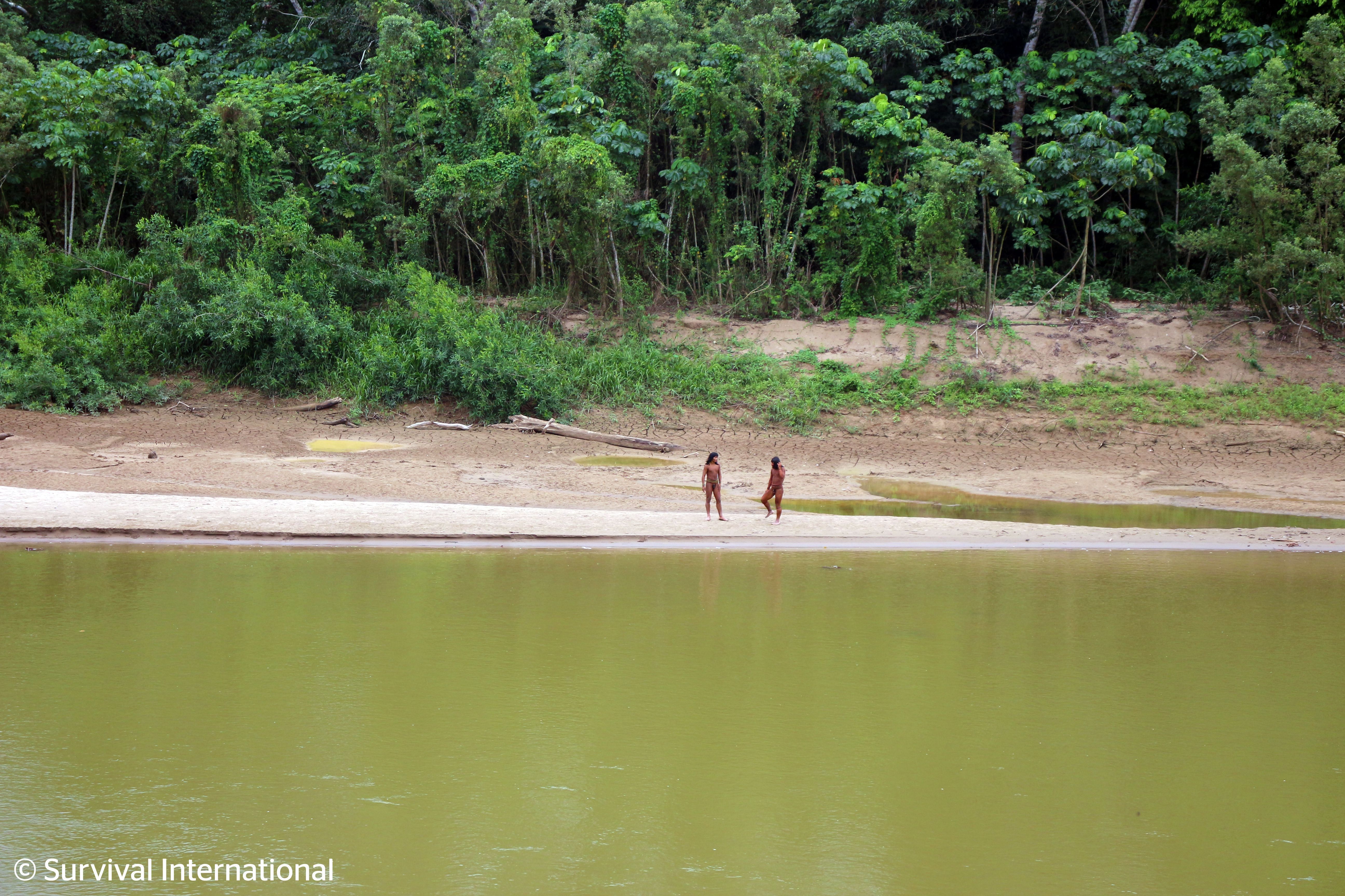 Imagens tribo indígena isolada na Amazônia - 7