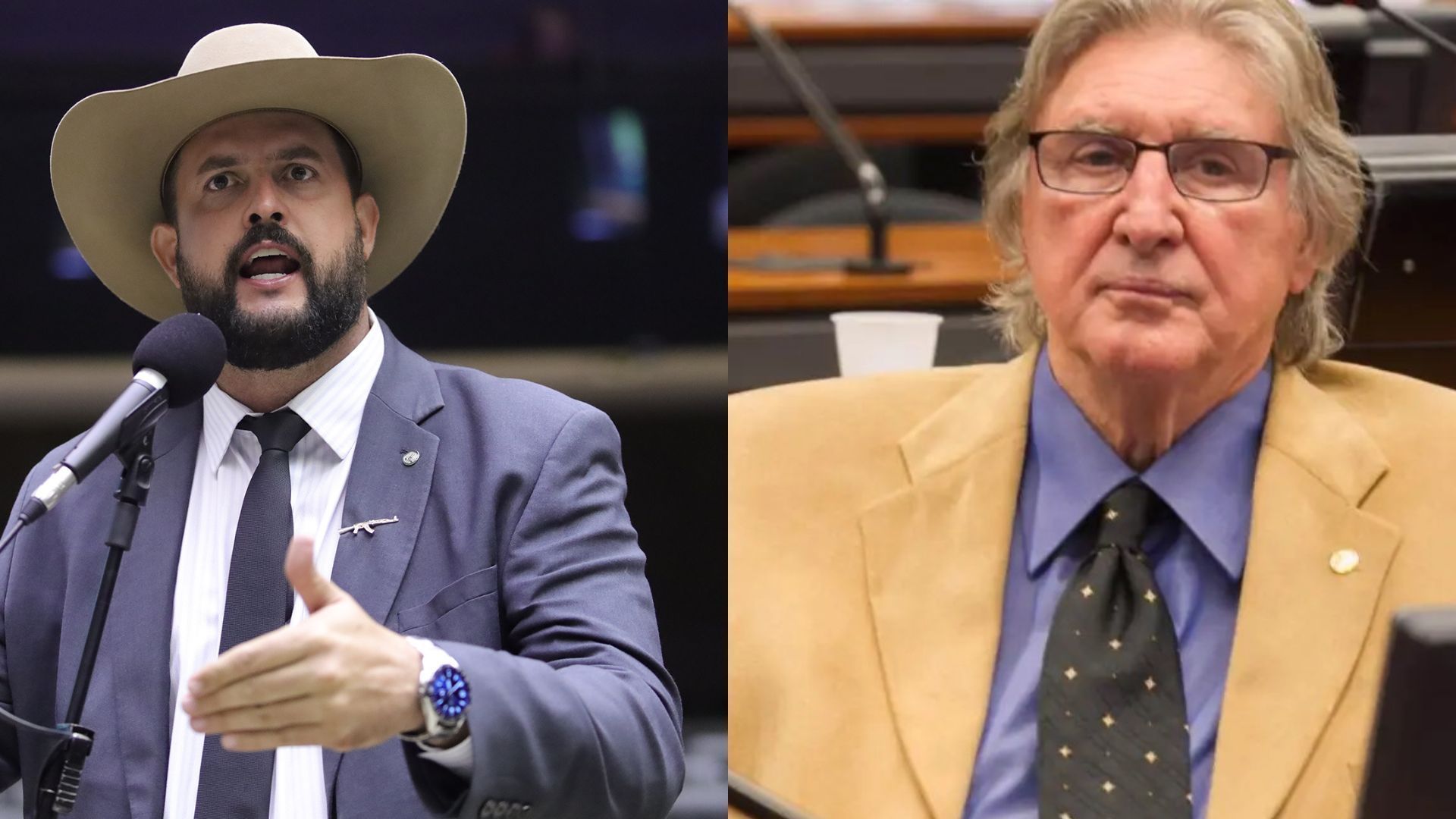 MONTAGEM - ZE TROVÃO E SÉRGIO REIS