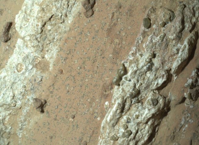 A rocha (imagem), apelidada de Cheyava Falls, tem aproximadamente 1 metro por 0,6 metros e contém indícios de vida microscópica em Marte. / Crédito: Nasa